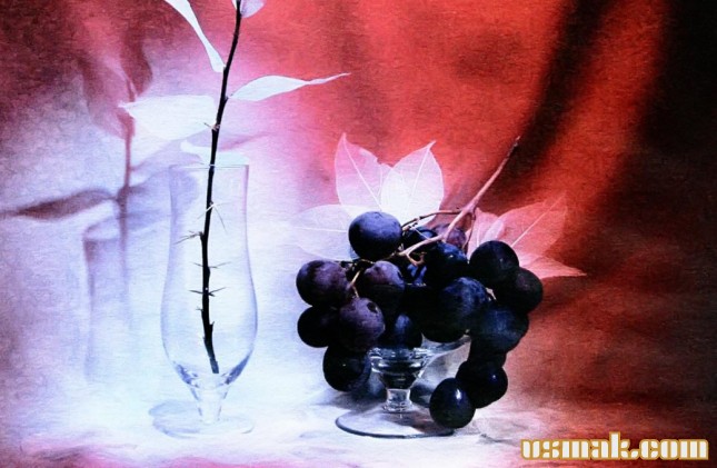 Рецепт Сушеный виноград фото