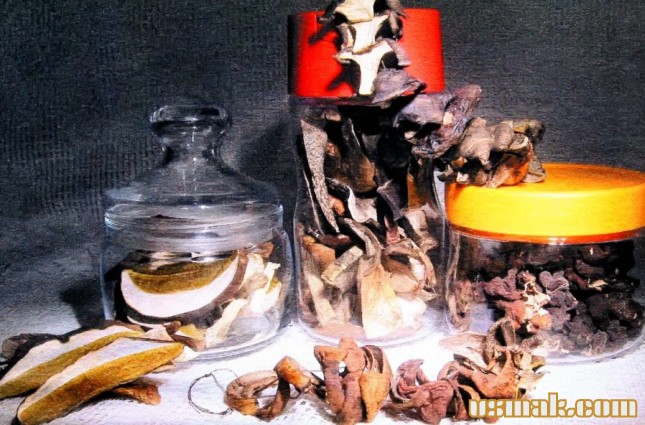 Рецепт Сушеные грибы в домашних условиях фото