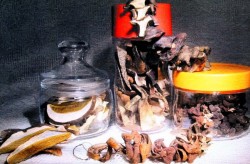 Сушеные грибы в домашних условиях