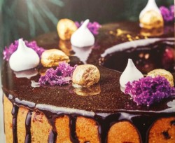 рецепт Свекольный пирог с черникой и шоколадной помадкой